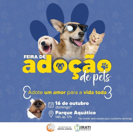 2ª Feira de Adoção de Pets acontece neste domingo 16 de outubro