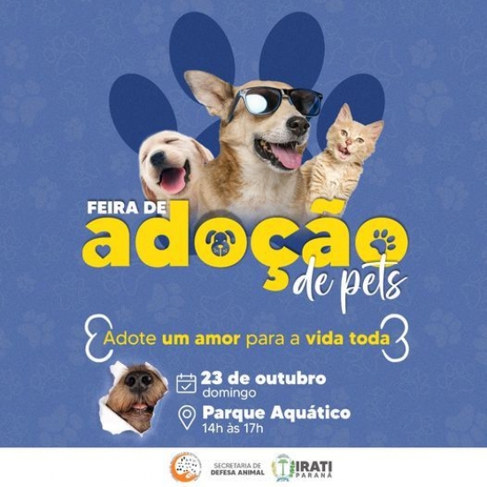 2ª Feira de Adoção de Pets acontece no domingo 23 de outubro
